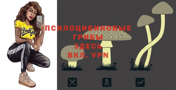 дмт Беломорск